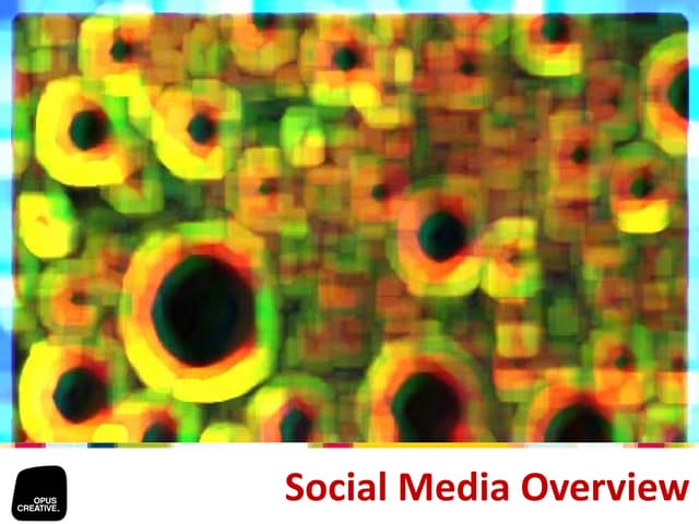 Socialmediaoverview 090521183809 Phpapp01