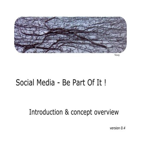 Social Media overview & how to (2011)