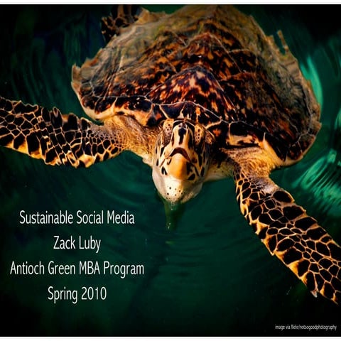 Sustainable Social Media 