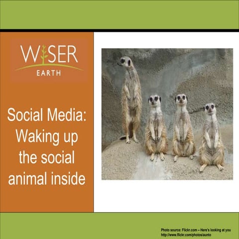 Waking Up the Social Media Animal Inside
