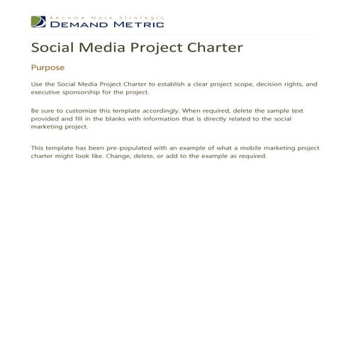 Social Media Project Charter Template