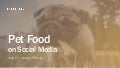 Social Media Report - Pet Food July 1st - August 31st