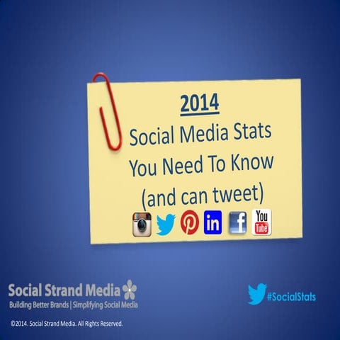 Social Media Stats 2014
