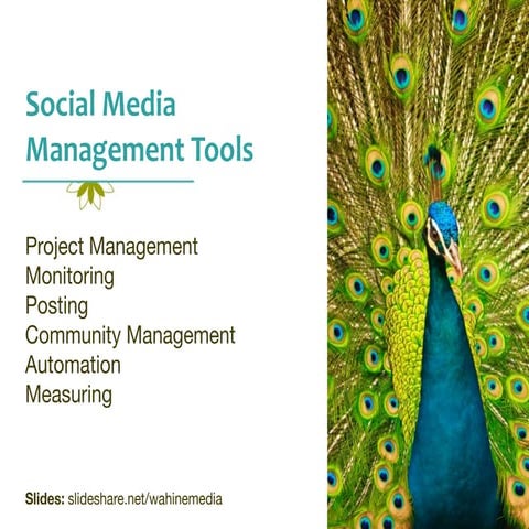 Social Media Management Tools: Pacific New Media