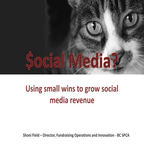 Social Media for Fundraising:  Using Small Wins to Grown Social Media Revenue