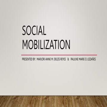 Social Mobilization Group 2 (1).pptx
