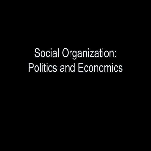 Social org II
