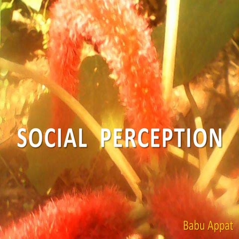 Social  perception- Your ability to understand you, your society and its othe...