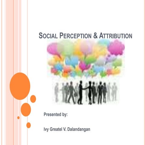 Social perception & attribution
