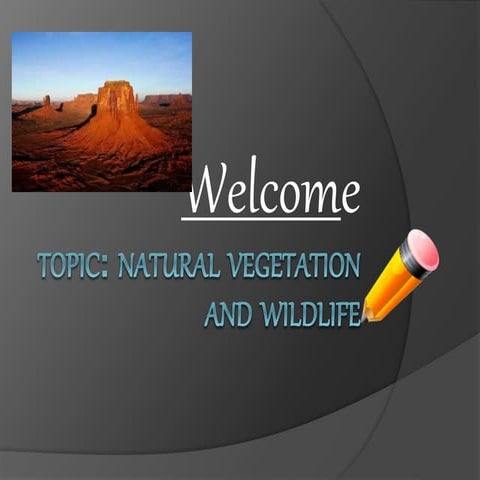 Natural Vegetation And wildlife