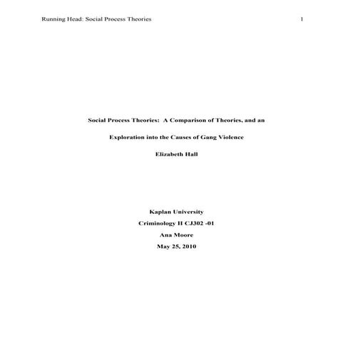 Social Process Theories