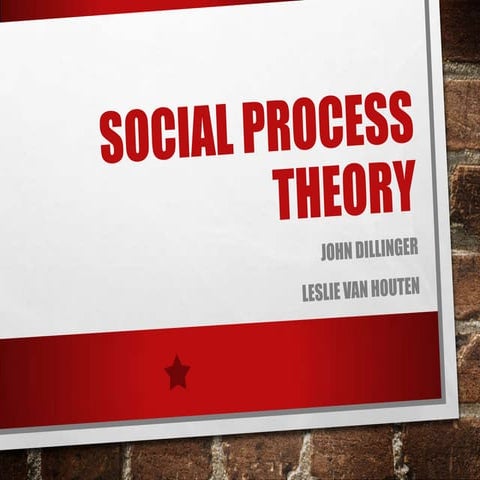 Social Process Theory