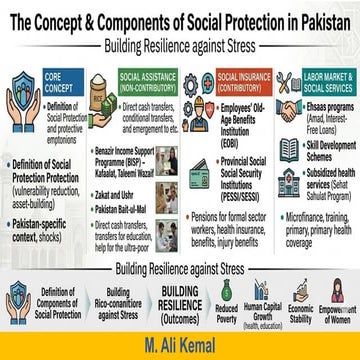 Social Protection | PDF