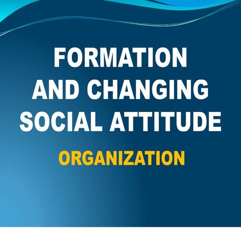 social psychology-orgnaization.pptx