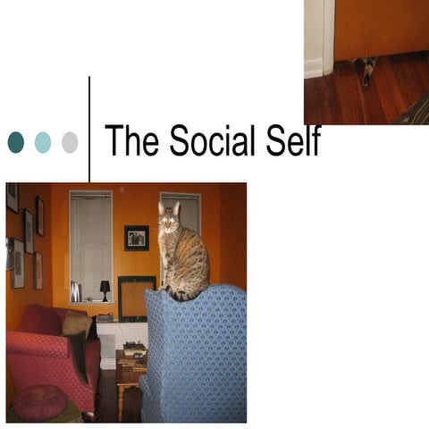 Social Self