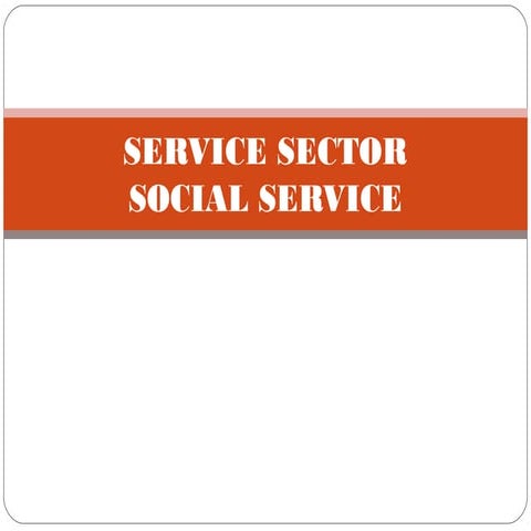 Social service sector and ts scope