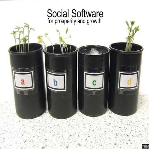 Social Software for Prosperity and Growth