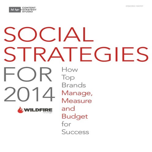 Social strategies for 2014