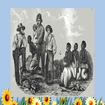 Social stratification