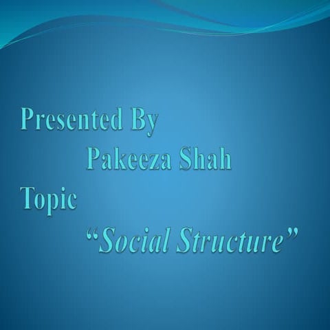 Social structure