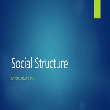 Social structure