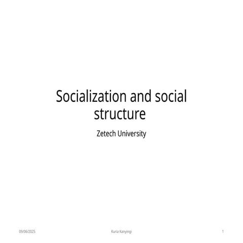 Social Structure.pptx in international relations