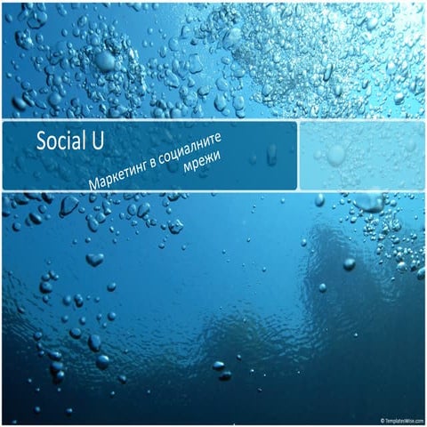 Social U