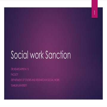 Social Work sanction meaning and sources of Social work sanction