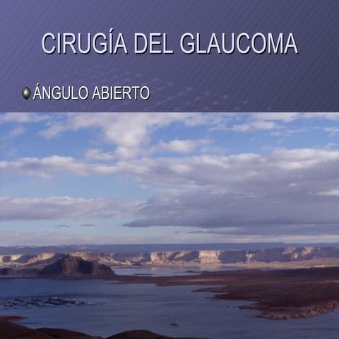 Sociedad Glaucoma2007