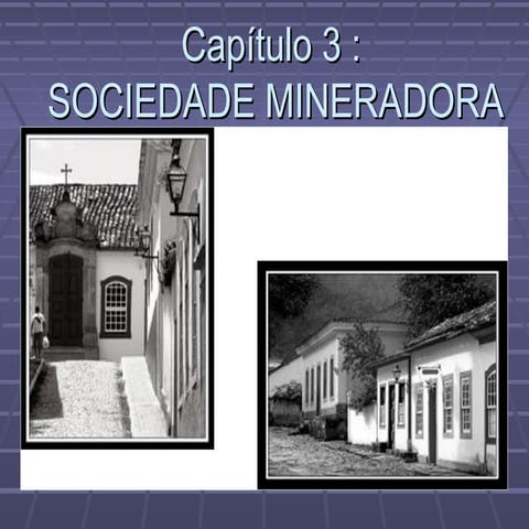 Sociedade mineradora