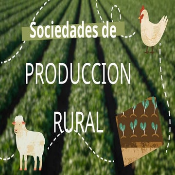 Sociedades de produccion rural(SPR).pptx