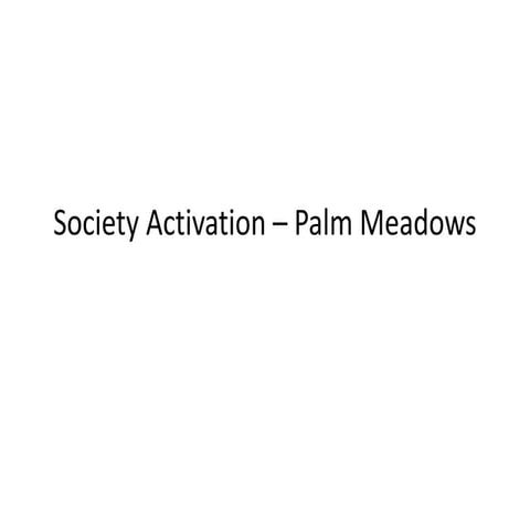 Society activation – palm meadows
