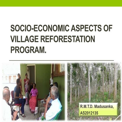 Socieconomic aspects of village reforestation program 