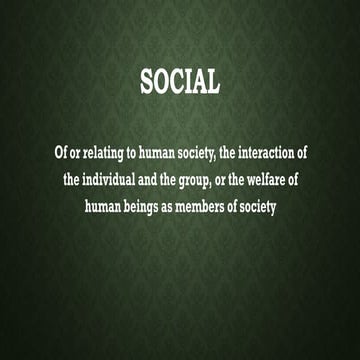 pintppt characteristics to dime rest bee