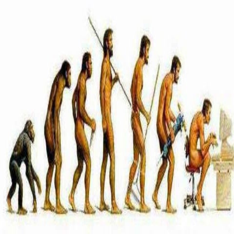 Sociocultural and political evolution