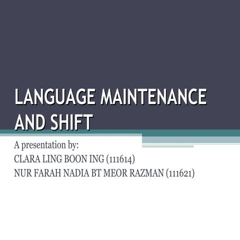Language maintenance and shift 