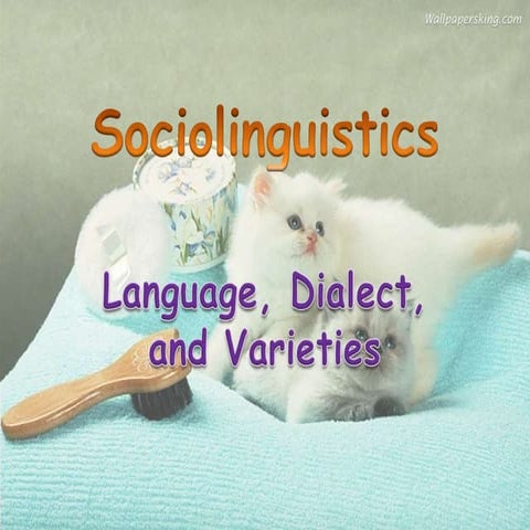 Sociolinguistics