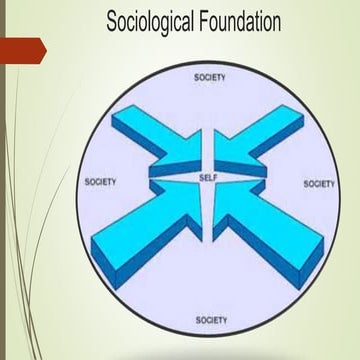 Sociological foundation report