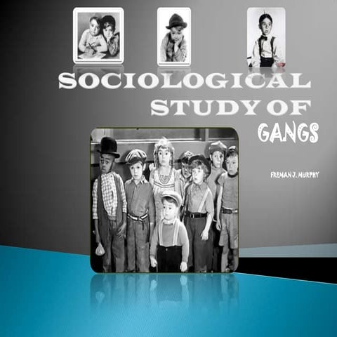 Sociological Study Of