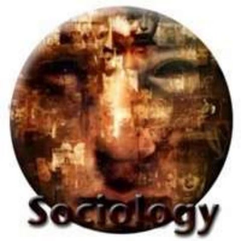 SociologyReport