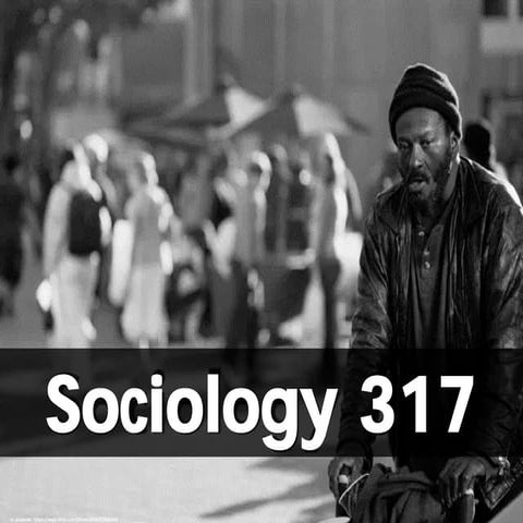 Sociology 317 