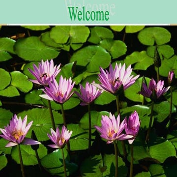 Relationship between Sociology & Social Work.pptx