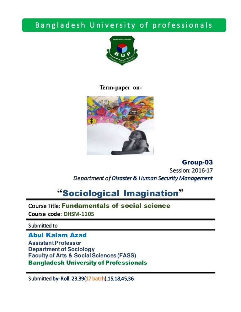 Sociological term paper