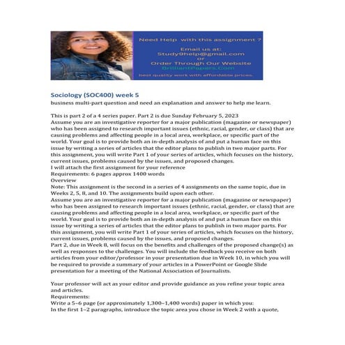 The Julie Rizzitello Case_ A Cautionary Story.docx