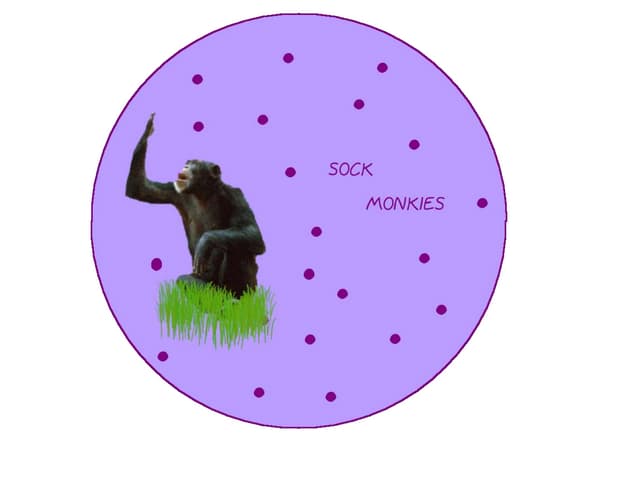 Sock Monkies