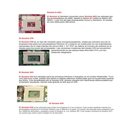 Socket a 462 | DOCX