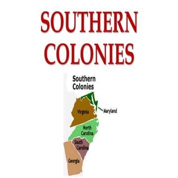 Soc studies #8 southern colonies