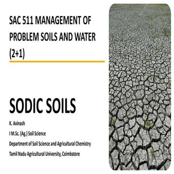 SODIC SOILS.pptx