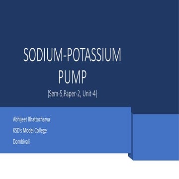 Sodium potassium pump