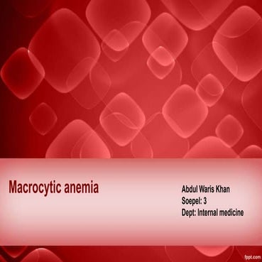 Macrocytic Anemia 